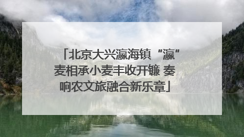 北京大兴瀛海镇“瀛”麦相承小麦丰收开镰 奏响农文旅融合新乐章