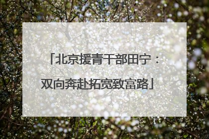 北京援青干部田宁：双向奔赴拓宽致富路