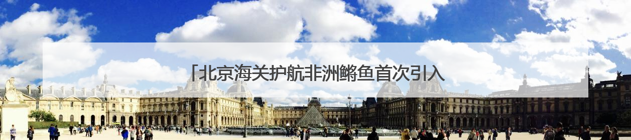 北京海关护航非洲鳉鱼首次引入我国，助力生命科学前沿研究