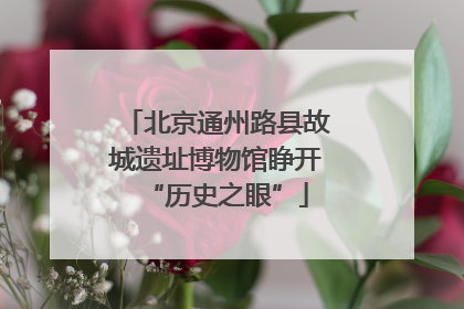 北京通州路县故城遗址博物馆睁开“历史之眼”