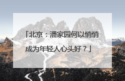 北京：潘家园何以悄悄成为年轻人心头好？