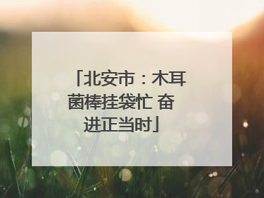 北安市：木耳菌棒挂袋忙 奋进正当时
