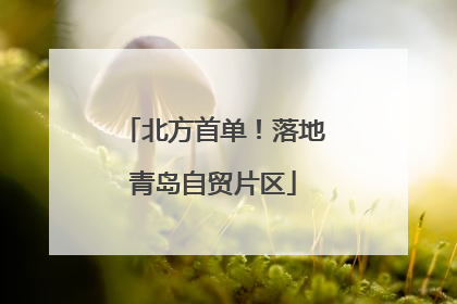 北方首单！落地青岛自贸片区