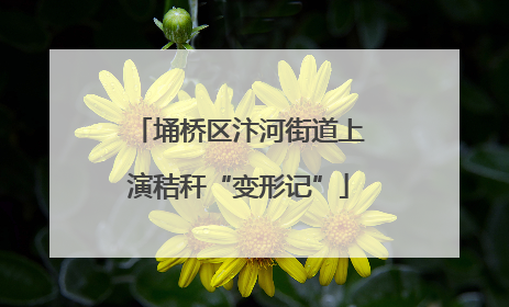 埇桥区汴河街道上演秸秆“变形记”