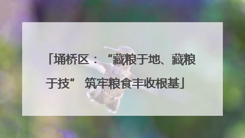 埇桥区：“藏粮于地、藏粮于技” 筑牢粮食丰收根基