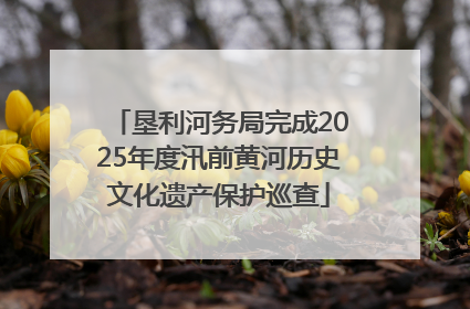 垦利河务局完成2025年度汛前黄河历史文化遗产保护巡查