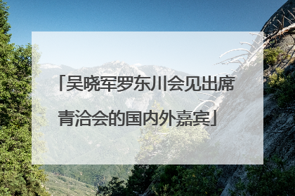 吴晓军罗东川会见出席青洽会的国内外嘉宾