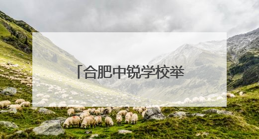 合肥中锐学校举办“六一”入队仪式暨文艺汇演