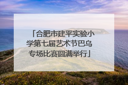 合肥市建平实验小学第七届艺术节巴乌专场比赛圆满举行