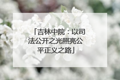 吉林中院：以司法公开之光照亮公平正义之路