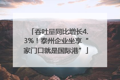 吞吐量同比增长4.3%！泰州企业坐享“家门口就是国际港”