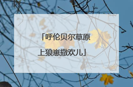 呼伦贝尔草原上狼崽撒欢儿