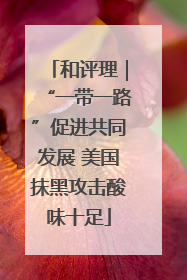 和评理｜“一带一路”促进共同发展 美国抹黑攻击酸味十足