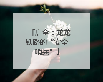 唐全：龙龙铁路的“安全哨兵”