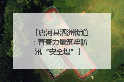 唐河县泗洲街道：青春力量筑牢防汛“安全堤”