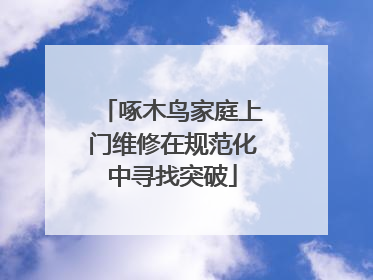 啄木鸟家庭上门维修在规范化中寻找突破