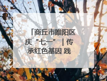 商丘市睢阳区庆“七一”｜传承红色基因 践行初心使命
