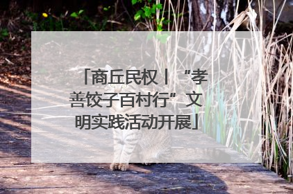 商丘民权丨“孝善饺子百村行”文明实践活动开展