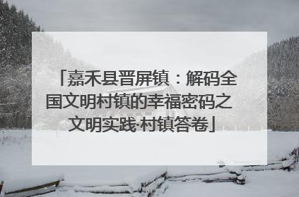 嘉禾县晋屏镇：解码全国文明村镇的幸福密码之 文明实践·村镇答卷