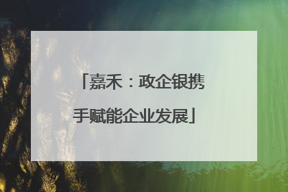 嘉禾：政企银携手赋能企业发展