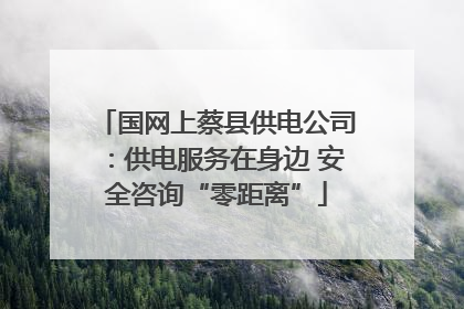 国网上蔡县供电公司：供电服务在身边 安全咨询“零距离”