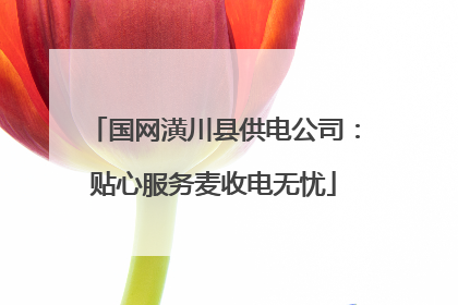 国网潢川县供电公司：贴心服务麦收电无忧