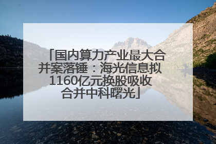 国内算力产业最大合并案落锤：海光信息拟1160亿元换股吸收合并中科曙光