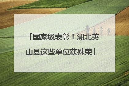 国家级表彰！湖北英山县这些单位获殊荣