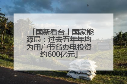 国新看台丨国家能源局：过去五年年均为用户节省办电投资约600亿元