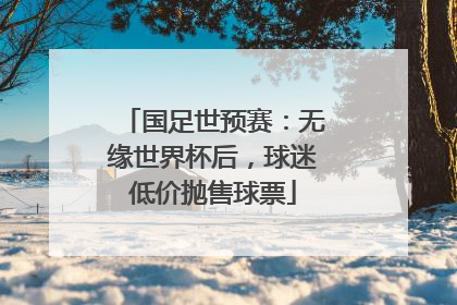 国足世预赛：无缘世界杯后，球迷低价抛售球票