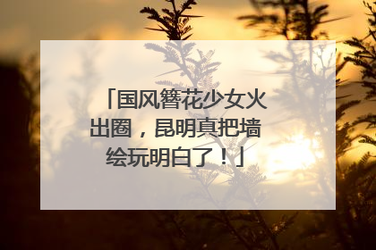 国风簪花少女火出圈，昆明真把墙绘玩明白了！