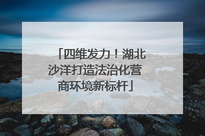 四维发力！湖北沙洋打造法治化营商环境新标杆