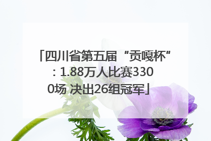 四川省第五届“贡嘎杯”：1.88万人比赛3300场 决出26组冠军