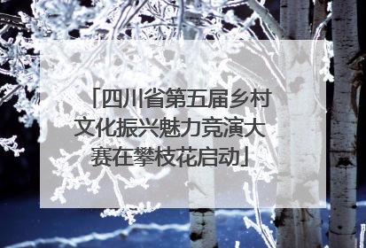 四川省第五届乡村文化振兴魅力竞演大赛在攀枝花启动