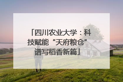 四川农业大学：科技赋能“天府粮仓”谱写稻香新篇