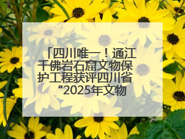 四川唯一！通江千佛岩石窟文物保护工程获评四川省“2025年文物保护优质工程”