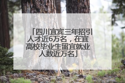 四川宜宾三年招引人才近6万名，在宜高校毕业生留宜就业人数近万名