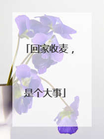 回家收麦，是个大事