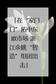 在“家门口”拓中东欧市场 浙江余姚“智造”组团出击