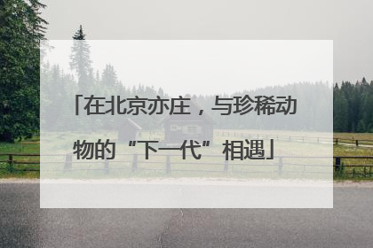 在北京亦庄，与珍稀动物的“下一代”相遇