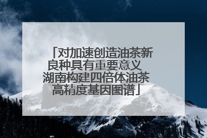对加速创造油茶新良种具有重要意义 湖南构建四倍体油茶高精度基因图谱
