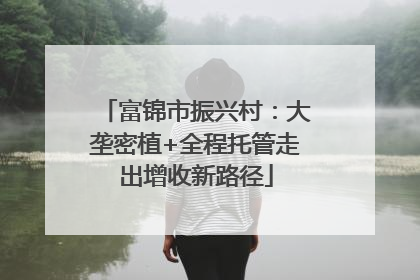 富锦市振兴村：大垄密植+全程托管走出增收新路径
