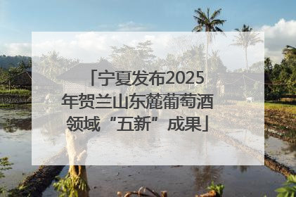 宁夏发布2025年贺兰山东麓葡萄酒领域“五新”成果