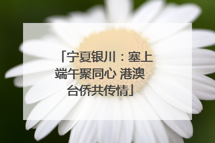 宁夏银川：塞上端午聚同心 港澳台侨共传情