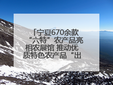 宁夏670余款“六特”农产品亮相农展馆 推动优质特色农产品“出宁进京”