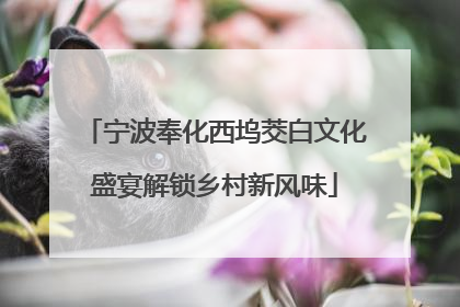 宁波奉化西坞茭白文化盛宴解锁乡村新风味