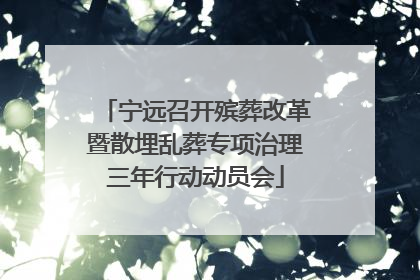 宁远召开殡葬改革暨散埋乱葬专项治理三年行动动员会