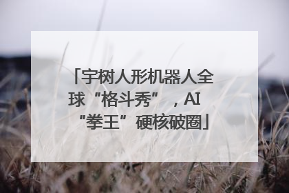 宇树人形机器人全球“格斗秀”，AI“拳王”硬核破圈