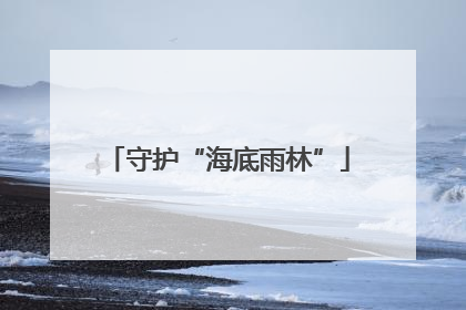守护“海底雨林”