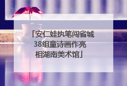 安仁娃执笔闯省城 38组童诗画作亮相湖南美术馆